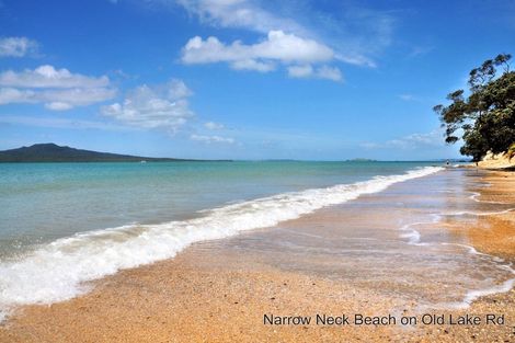 Photo of property in 1/28 Hemi Street, Narrow Neck, Auckland, 0622