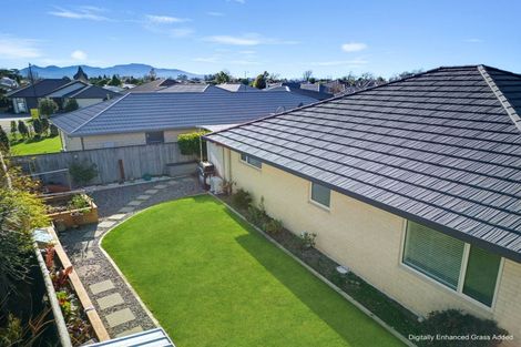 Photo of property in 19 Korari Grove, Redwoodtown, Blenheim, 7201