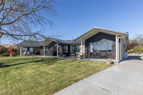 Photo of property in 11 Apatu Place, Waipukurau, 4200