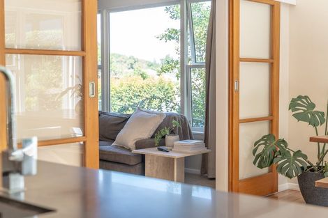 Photo of property in 16 Riverview Terrace, Fairfield, Hamilton, 3214