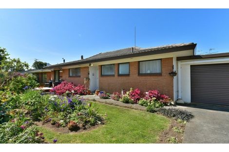 Photo of property in 63 Centreway Road, Orewa, 0931