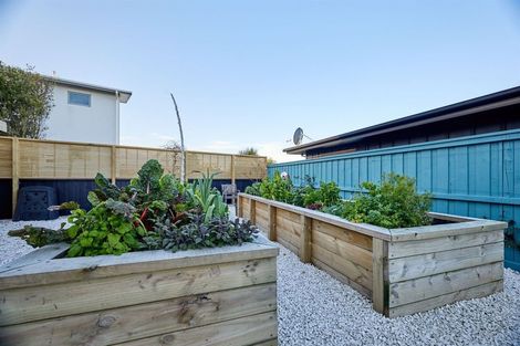 Photo of property in 65 Shearwater Drive, Kaikoura, 7300