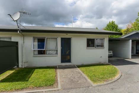 Photo of property in 213a Pattison Road, Akina, Hastings, 4122