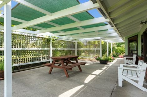 Photo of property in 17 Boyce Street, Renwick, 7204