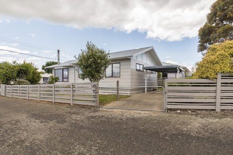 Photo of property in 9 Douglas Street, Levin, 5510