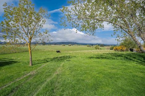 Photo of property in 369 Maungatua Road, Woodside, Outram, 9073