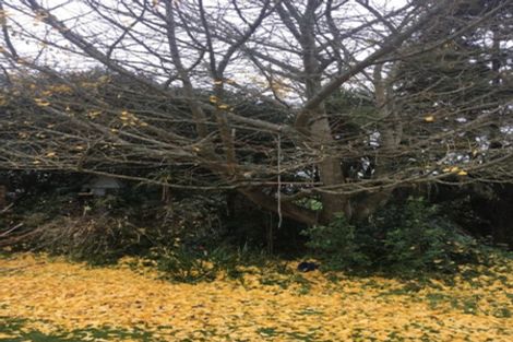 Photo of property in 83 Tuhikaramea Road, Dinsdale, Hamilton, 3204