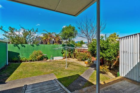 Photo of property in 58 Winchester Street, Levin, 5510