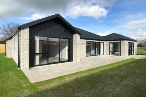 Photo of property in 33 Banks Road, Matamata, 3400