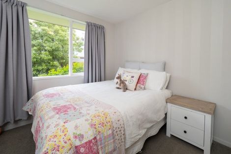 Photo of property in 37 Suffolk Street, Hampstead, Ashburton, 7700