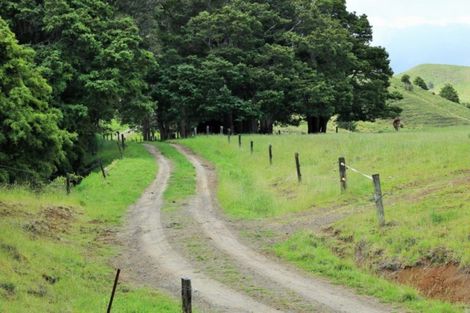 Photo of property in 1008 Tangowahine Valley Road, Tangowahine, Dargaville, 0372