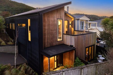 Photo of property in 47 Rhine Street, Island Bay, Wellington, 6023