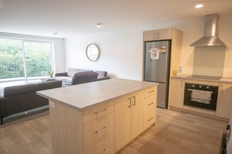 Photo of property in 33 Malvern Street, Woodhaugh, Dunedin, 9010
