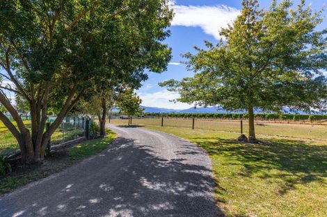 Photo of property in 445 Dillons Point Road, Dillons Point, Blenheim, 7273