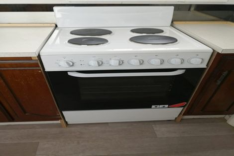 Photo of property in 14 Massey Avenue, Greenlane, Auckland, 1061