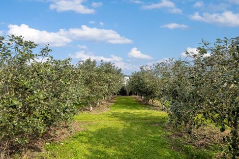 Photo of property in 23 Battys Road, Yelverton, Blenheim, 7201