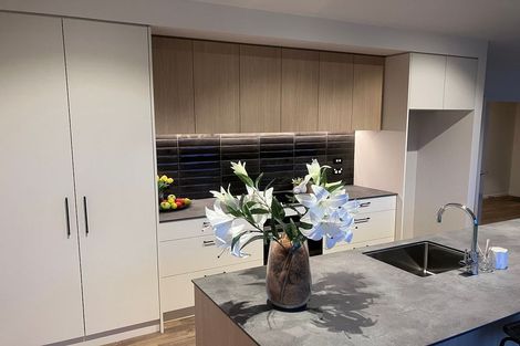 Photo of property in 44 Doug Ledgerwood Drive, Wanaka, 9305