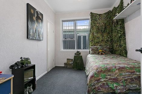 Photo of property in 113 Buckland Street, Putaruru, 3411