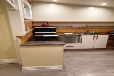 Photo of property in 87 Austin Street, Mount Victoria, Wellington, 6011