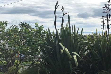 Photo of property in 101 Edward Street, Thames, 3500