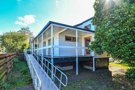 Photo of property in 17 Bledisloe Court, Pukekohe, 2120
