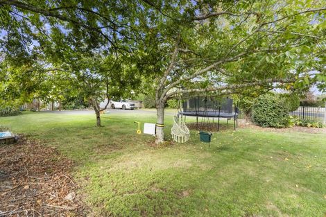 Photo of property in 287 College Street, Te Awamutu, 3800
