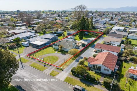 Photo of property in 33 Elizabeth Street, Matamata, 3400