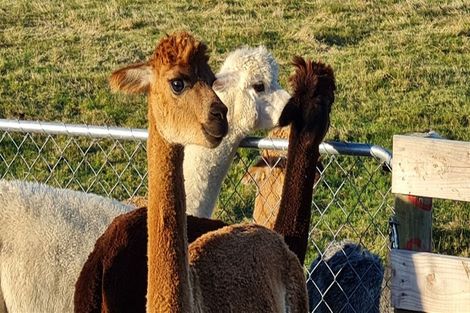 Photo of property in 7 Skevington Lane, Sefton, Rangiora, 7477