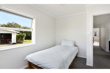 Photo of property in 10 Alfred Sheat Street, Richmond, 7020