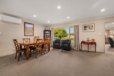 Photo of property in 21 Pukawa Place, Feilding, 4702