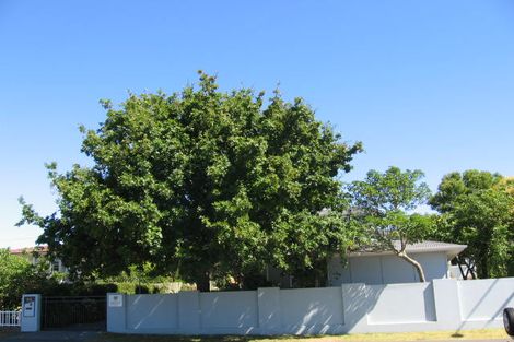 Photo of property in 98 Kitchener Road, Milford, Auckland, 0620