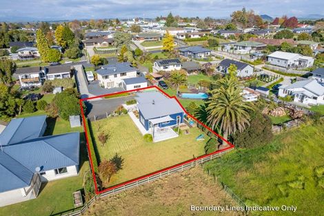 Photo of property in 22 Herbert Street, Kihikihi, Te Awamutu, 3800