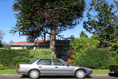 Photo of property in 19 Tee Street, Putaruru, 3411