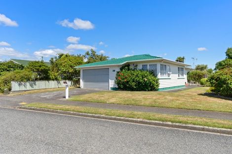 Photo of property in 36 Marlborough Street, Levin, 5510