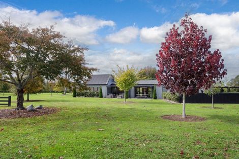 Photo of property in 18 Orchard Place, Matamata, 3472