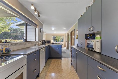 Photo of property in 114 Ridge Road Central, Mangamutu, Pahiatua, 4983