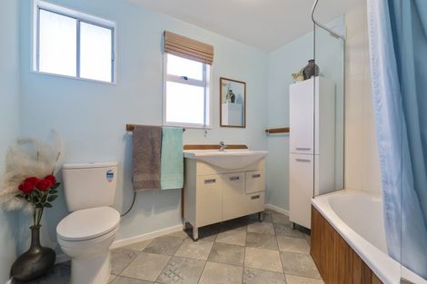 Photo of property in 66 Inkerman Street, Renwick, 7204