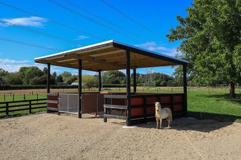 Photo of property in 229 Racecourse Road, Cambridge, 3493