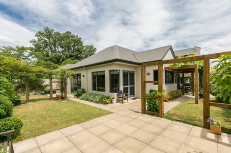 Photo of property in 29 Chambers Street, Havelock North, 4130