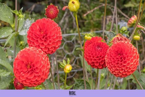 Photo of property in 10 Richmal Street, Waihi, 3610