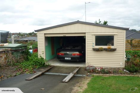 Photo of property in 241 Te Tomo Street, Te Awamutu, 3800