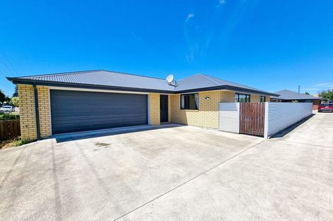 Photo of property in 17 Brewer Street, Blenheim, 7201