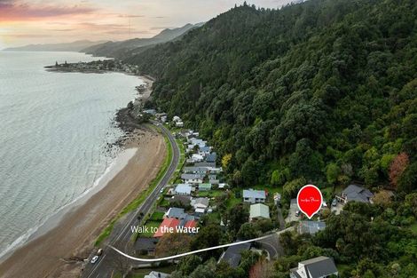 Photo of property in 11 Adams Road, Thornton Bay, Thames, 3575