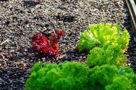 Photo of property in 10 Gleneagles Drive, Aongatete, Katikati, 3178