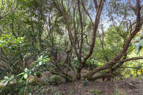 Photo of property in 18a Lily Street, Raglan, 3225