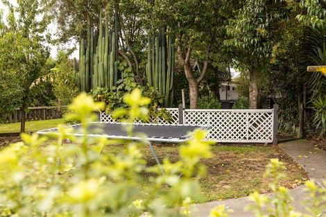 Photo of property in 44 Brydon Street, Renwick, 7204