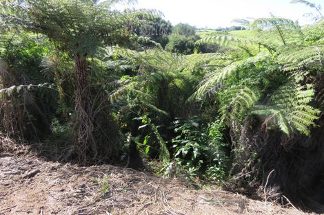 Photo of property in 9 Lori Lane, Coopers Beach, 0420