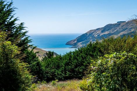 Photo of property in 130 Maori Pa Road, Delaware Bay, Nelson, 7071