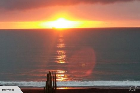 Photo of property in 29 Pohutukawa Drive, Eskdale, Napier, 4182