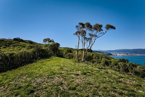 Photo of property in 50 Dungarvan Road, Newlands, Wellington, 6037